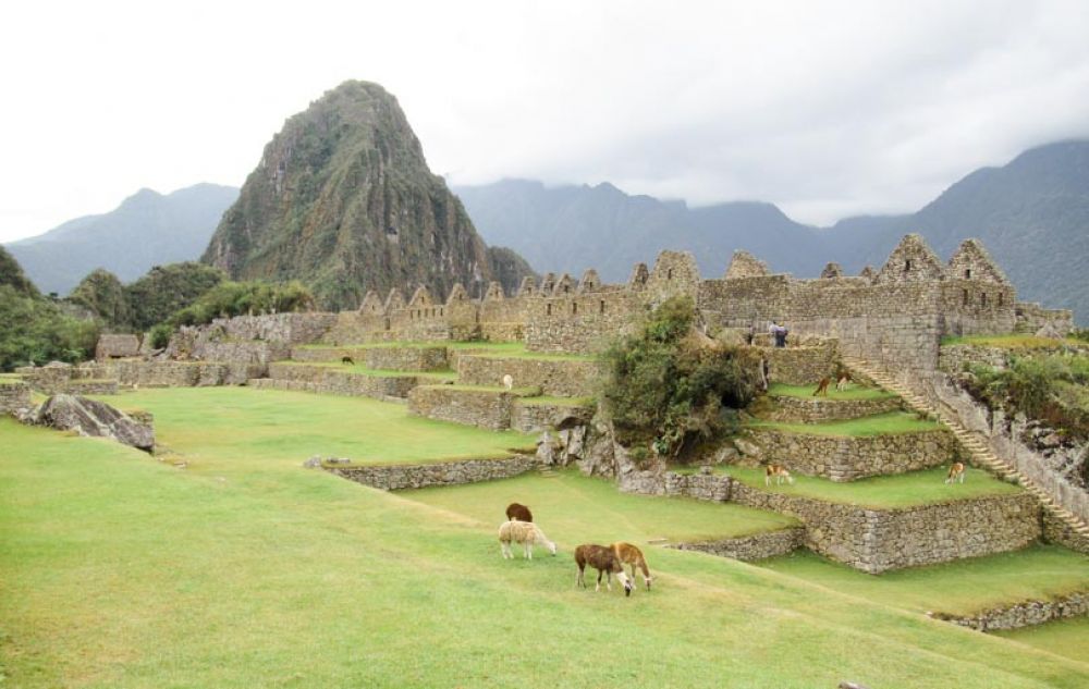 que faire Machu Pichu